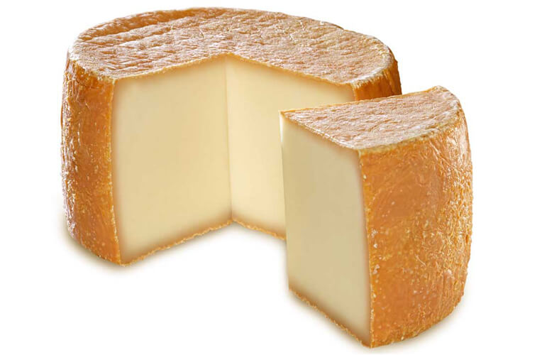 Zillertaler Edelziege